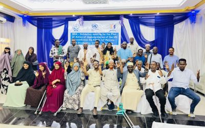 Qorshe Howleedka Qaranka ee hirgalinta heshiiska caalamiga ah ee UN- Convention on the Rights of Persons with Disabilities (CRPD)